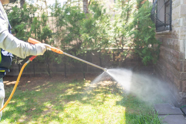 Best Pest Control for Businesses  in Orleans, VT